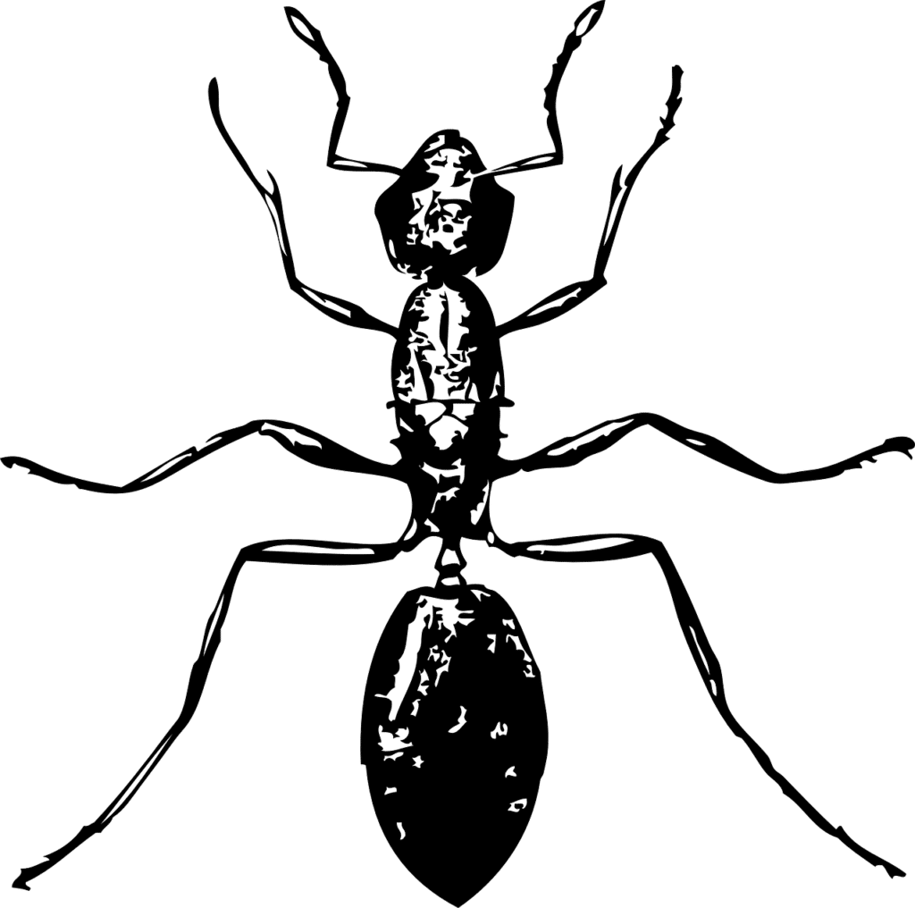 סוגי ההדברות הקיימים כיום בשוק
